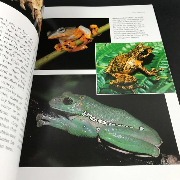 Frogs: A Chorus of Colors; Beautiful Photos & Illustrations; Excellent! 160 pgs - Picture 7 of 9
